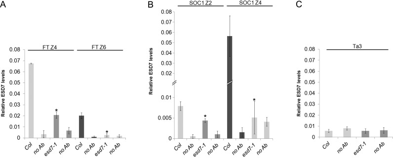 Figure 6.