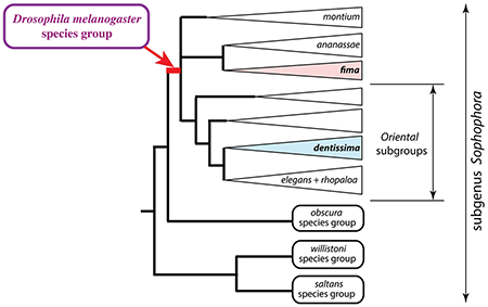 graphic file with name nihms-1533713-f0004.jpg