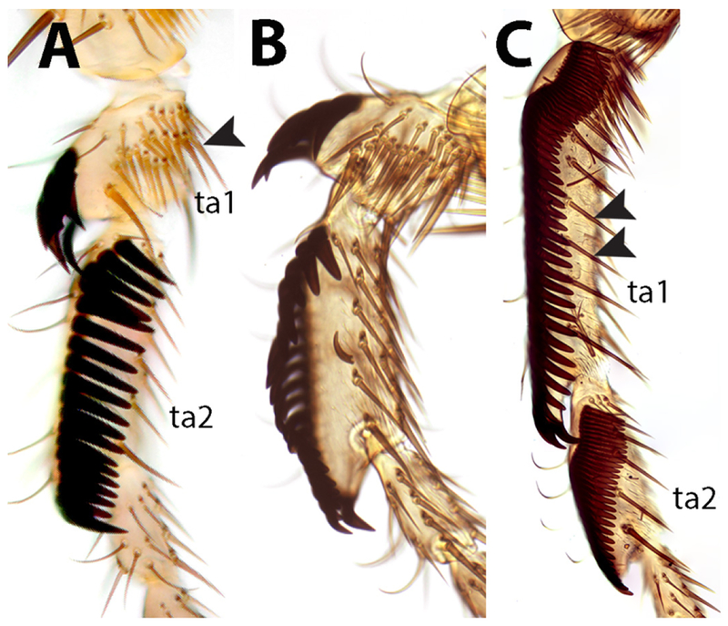 Figure 3.