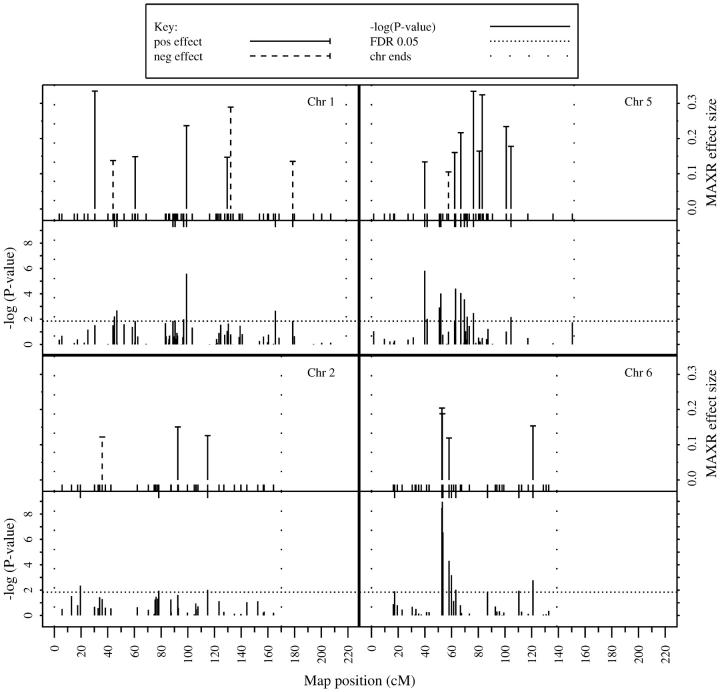 Figure 4.—