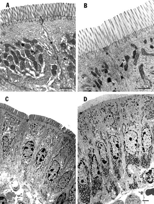 Figure 2  