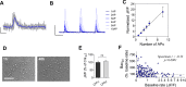 Figure 3—figure supplement 1.
