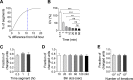 Figure 2—figure supplement 4.