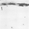 870