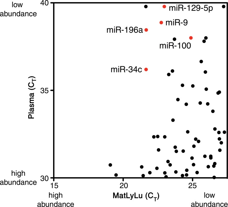 Figure 5b: