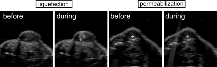 Figure 3: