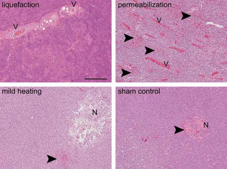 Figure 4: