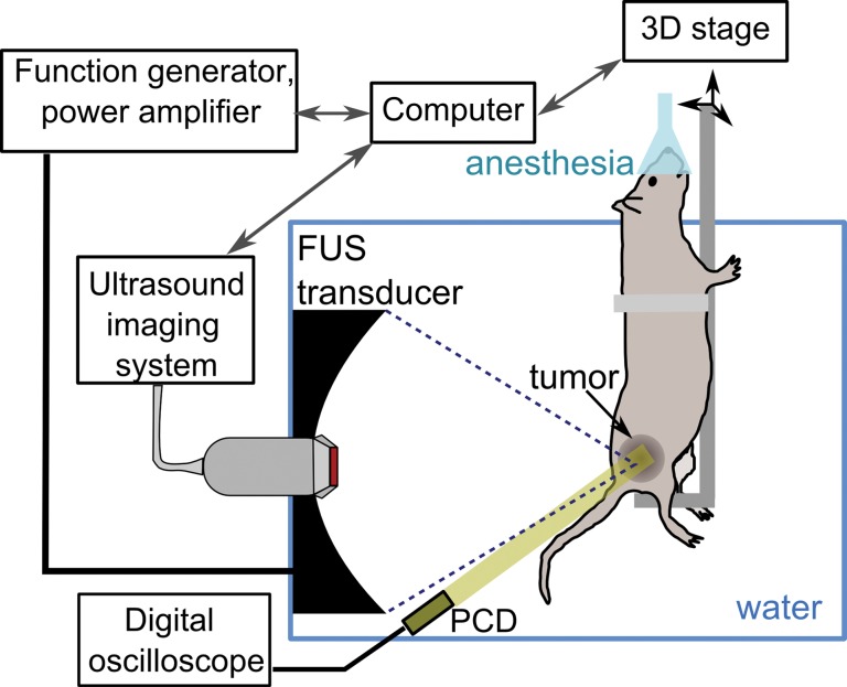 Figure 2a: