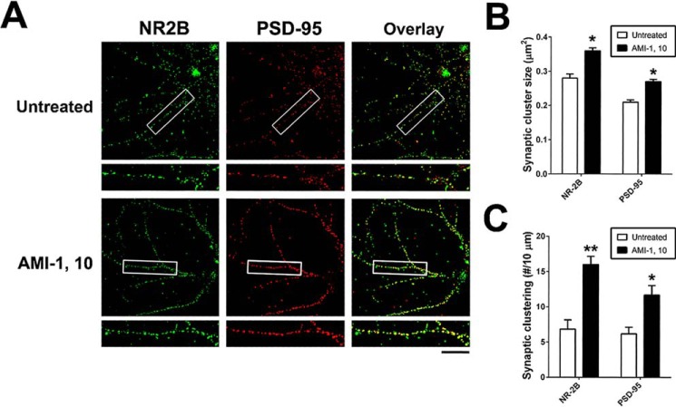 Figure 6.