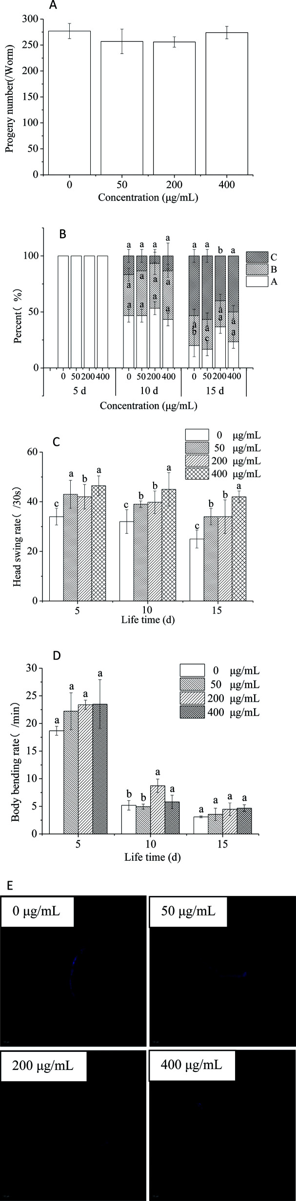 Fig. 8