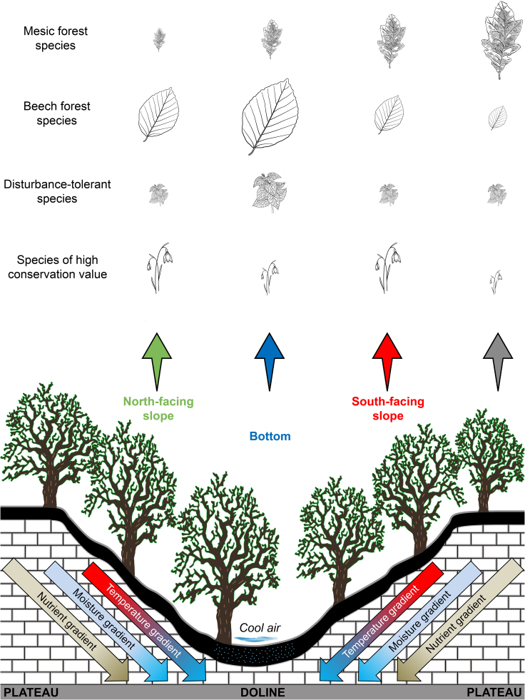 Figure 7