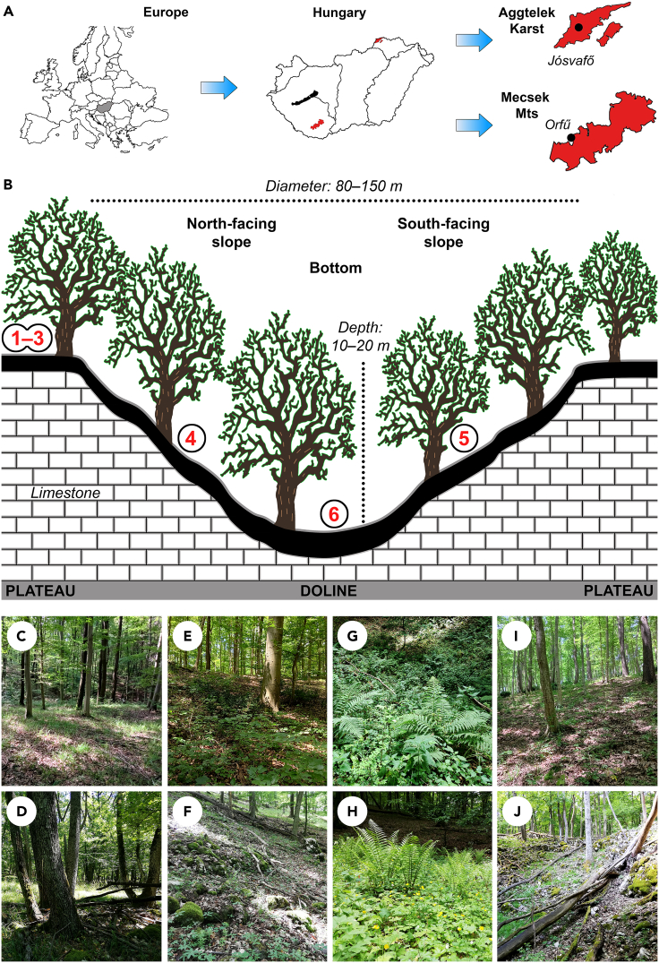 Figure 1