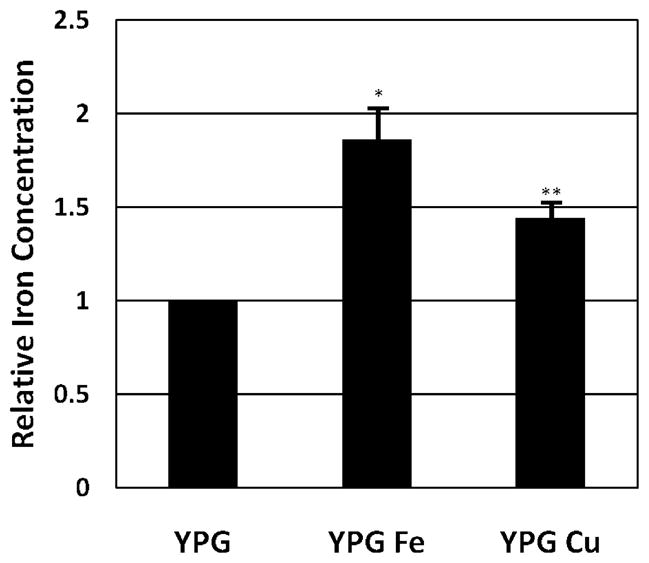 Fig. 5