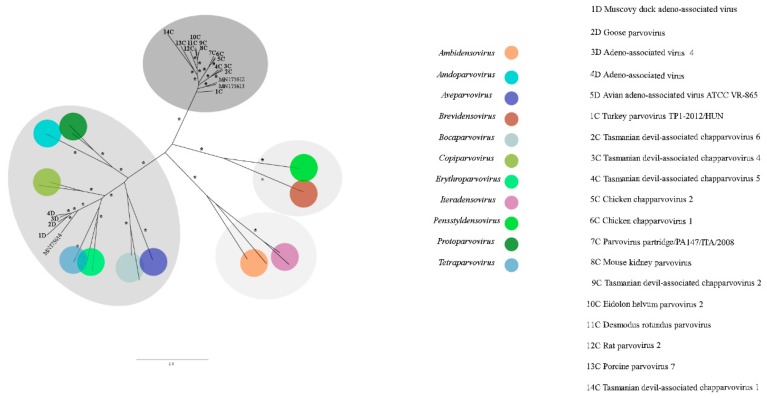 Figure 12