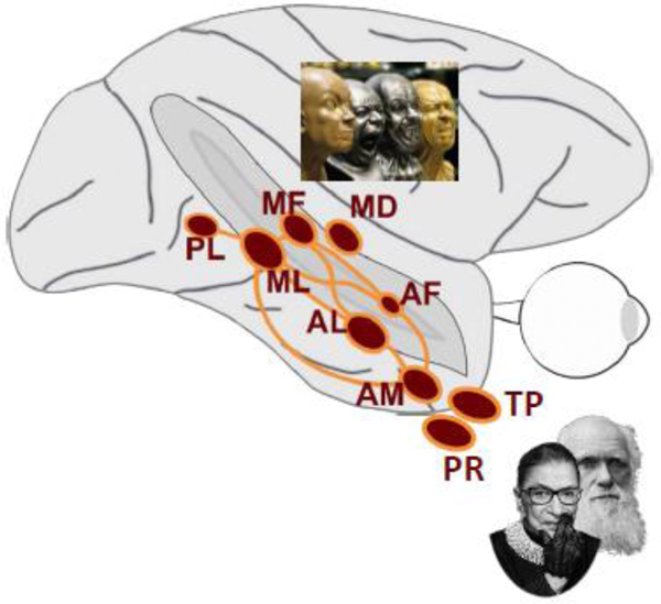 Fig. 3B