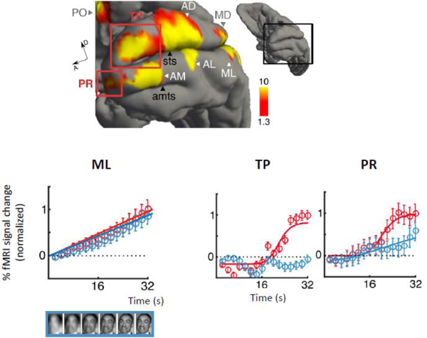 Figure 3A