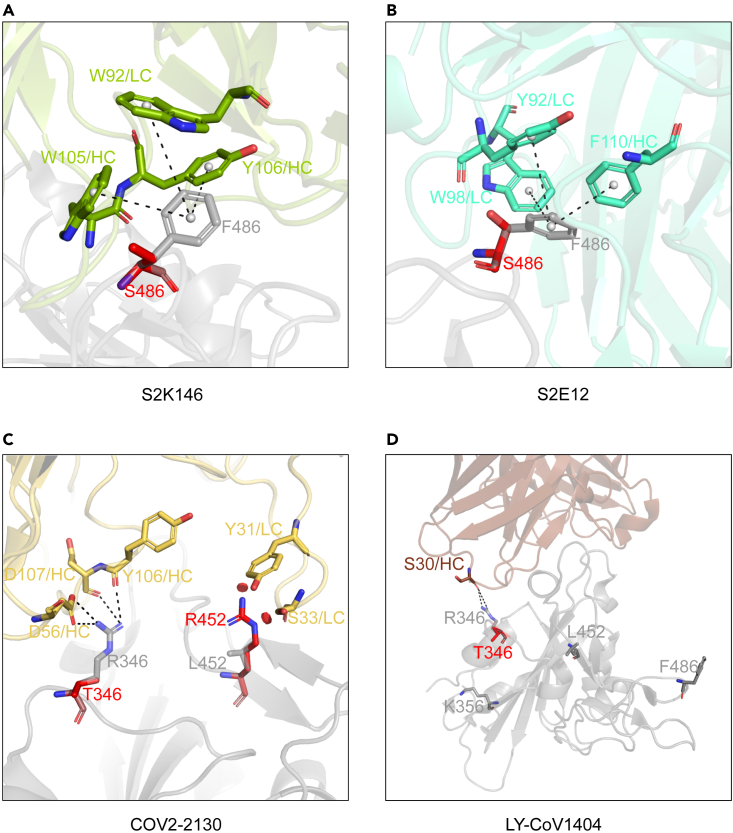 Figure 4