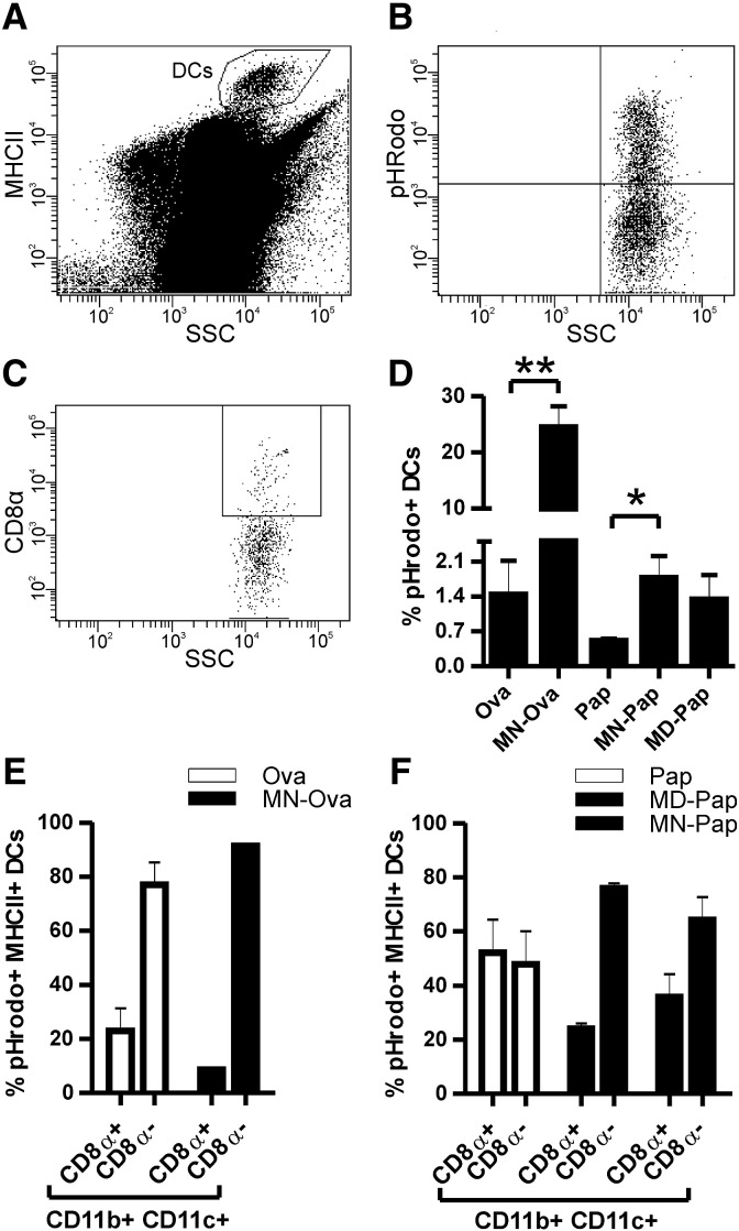 Fig. 3