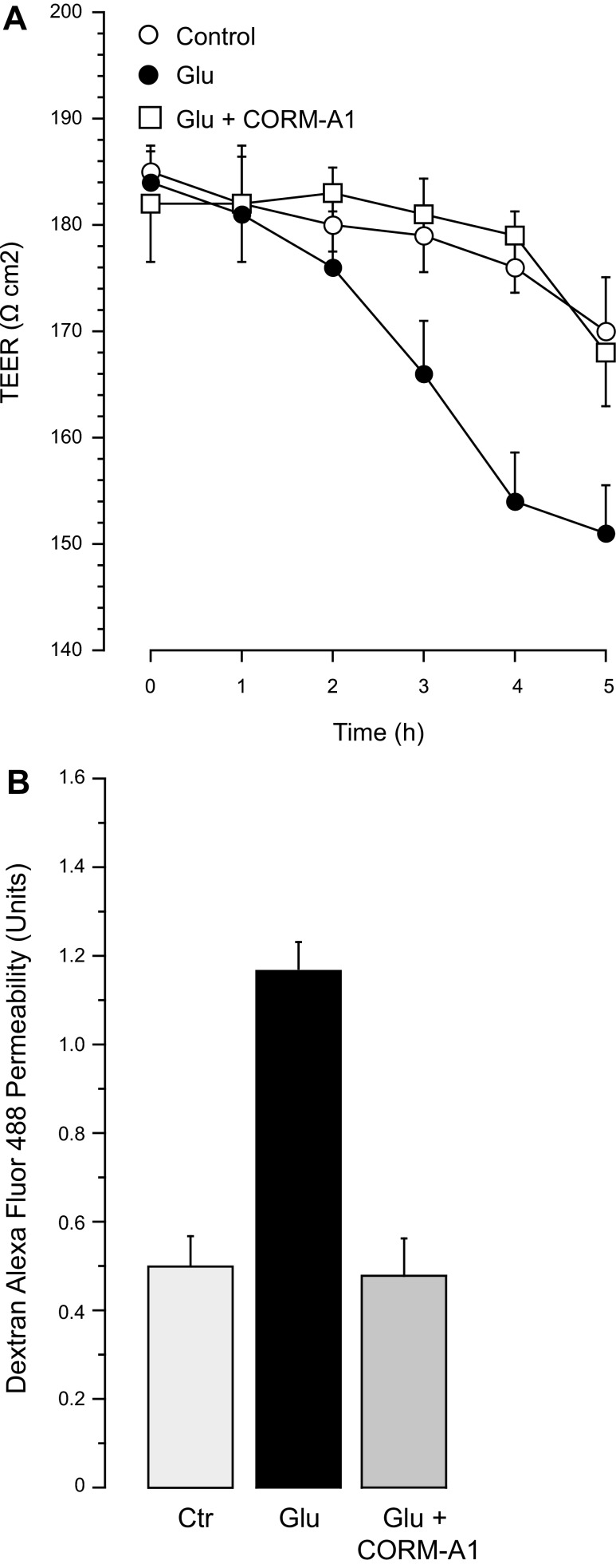 Fig. 11.