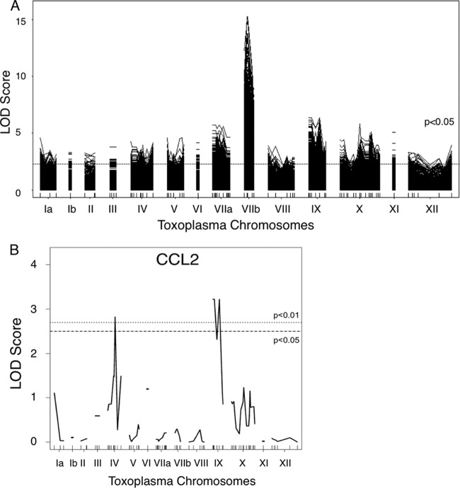 FIG 1