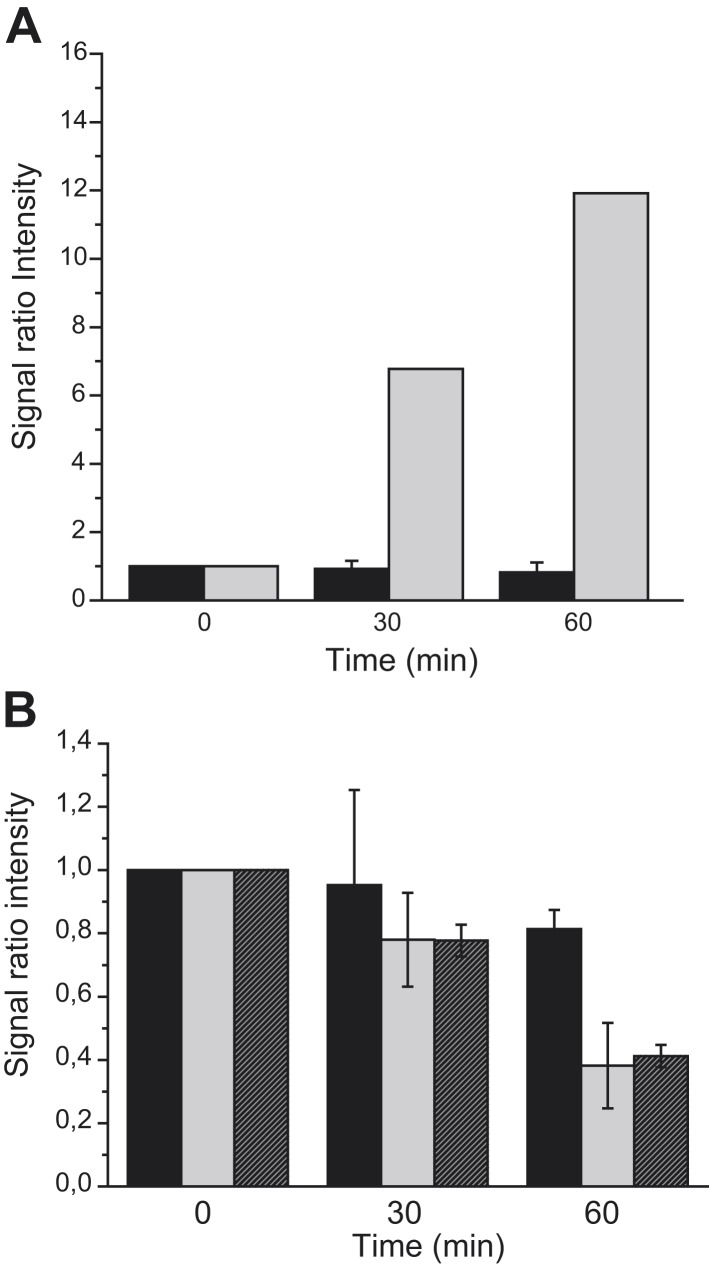 Figure 6—figure supplement 1.