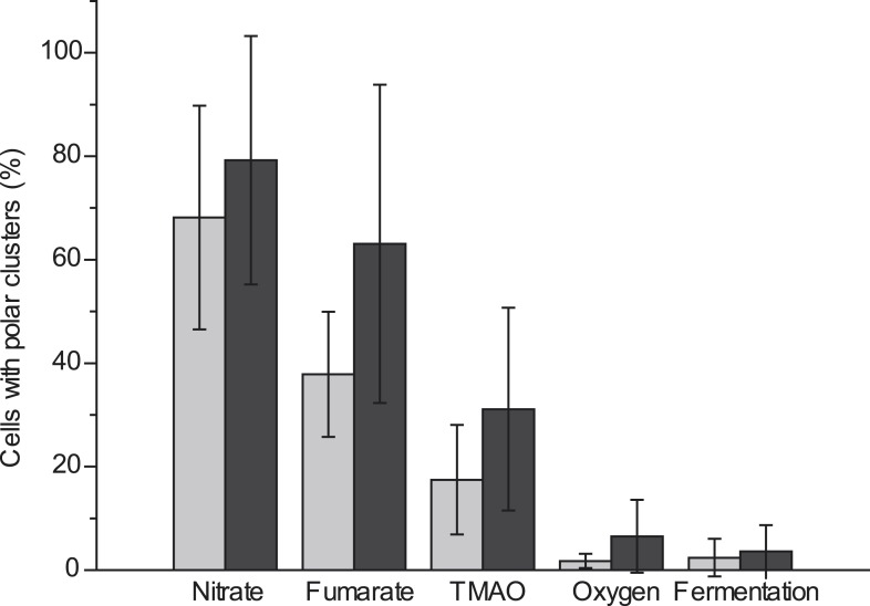 Figure 3—figure supplement 1.