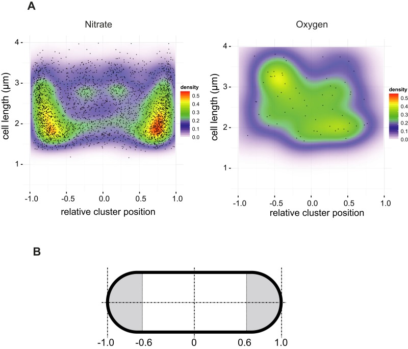 Figure 2—figure supplement 1.