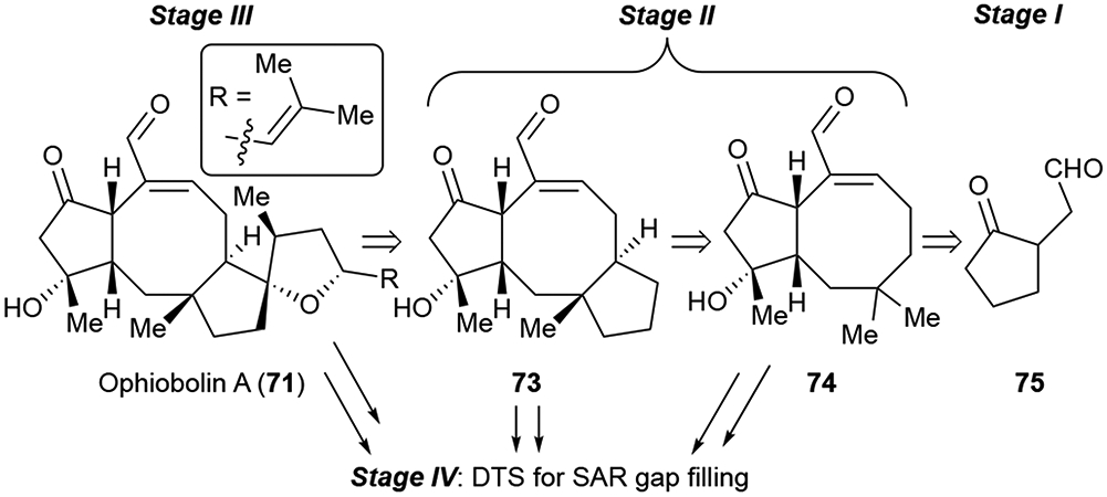 Scheme 12.