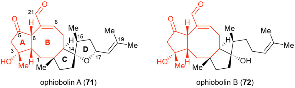 Figure 9.