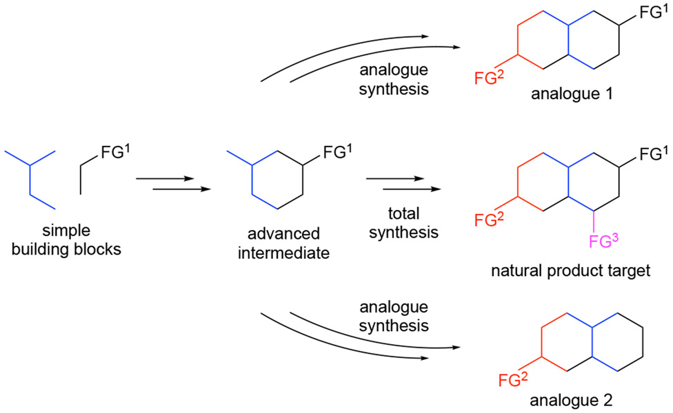 Scheme 3.