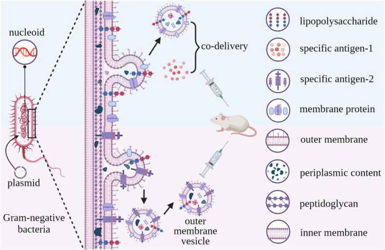 Figure 4