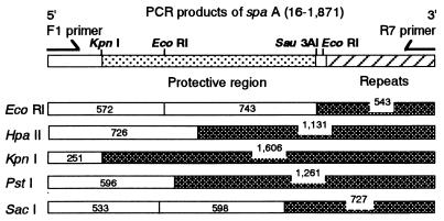 FIG. 6