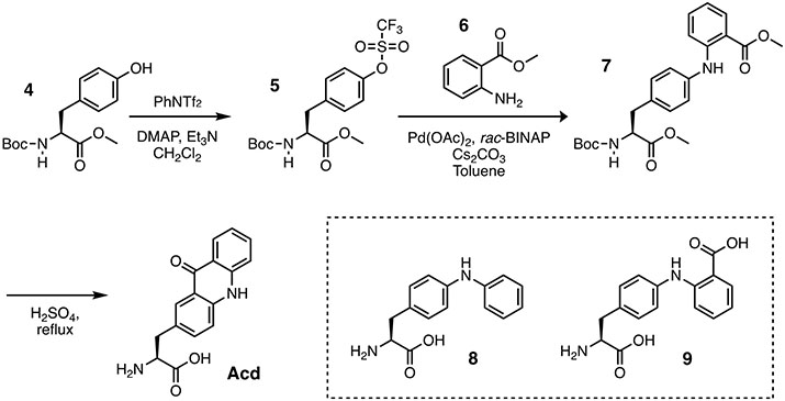 Scheme 2.