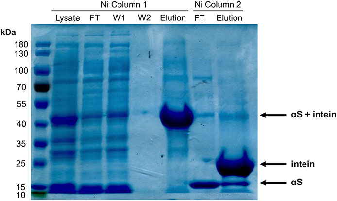 Figure 3: