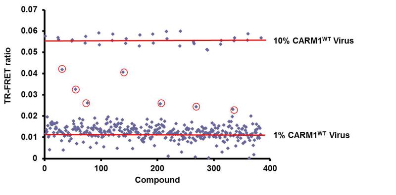 Figure 7