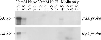 FIG. 7.