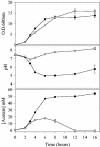 FIG. 5.