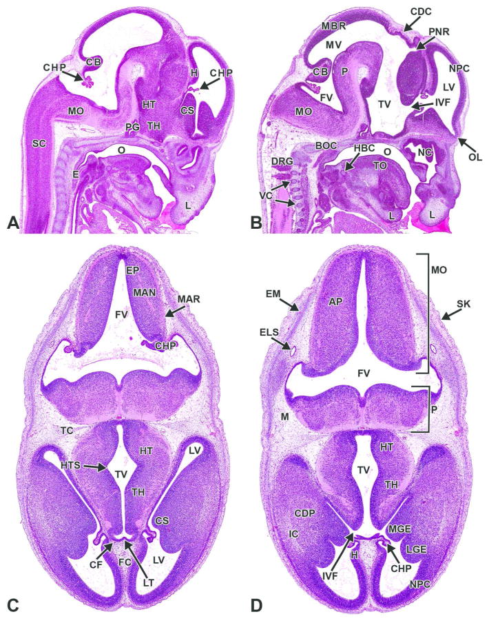 Figure 15