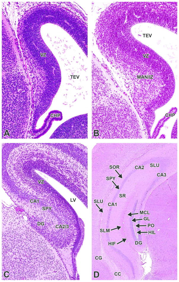 Figure 18