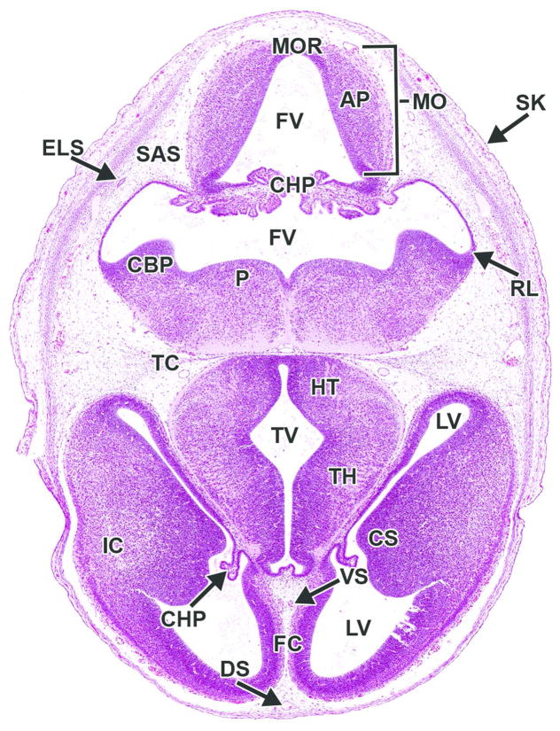 Figure 20