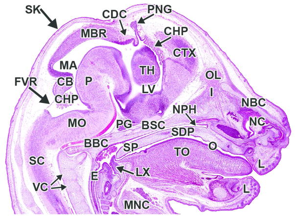 Figure 24