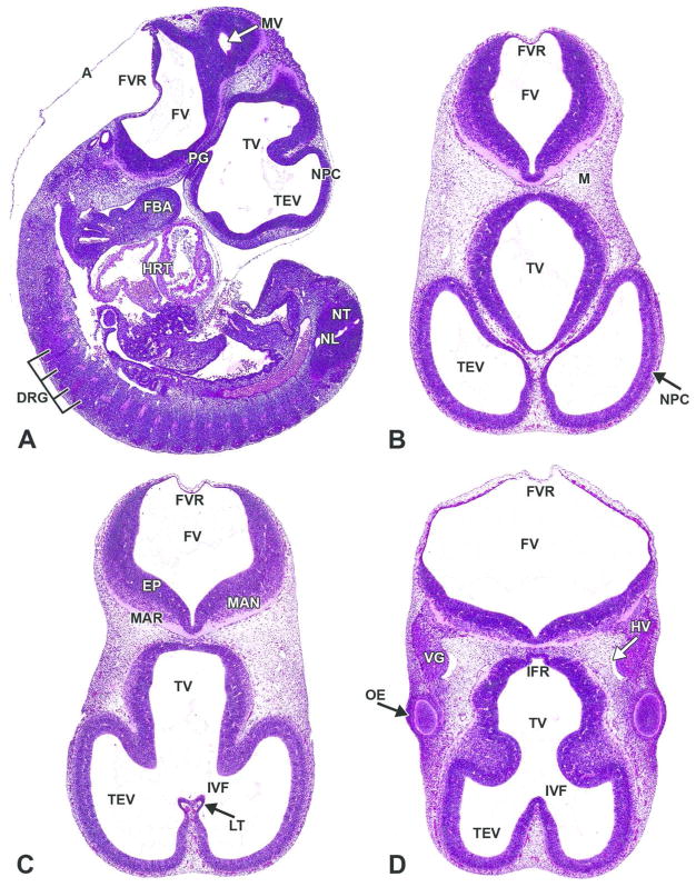 Figure 10