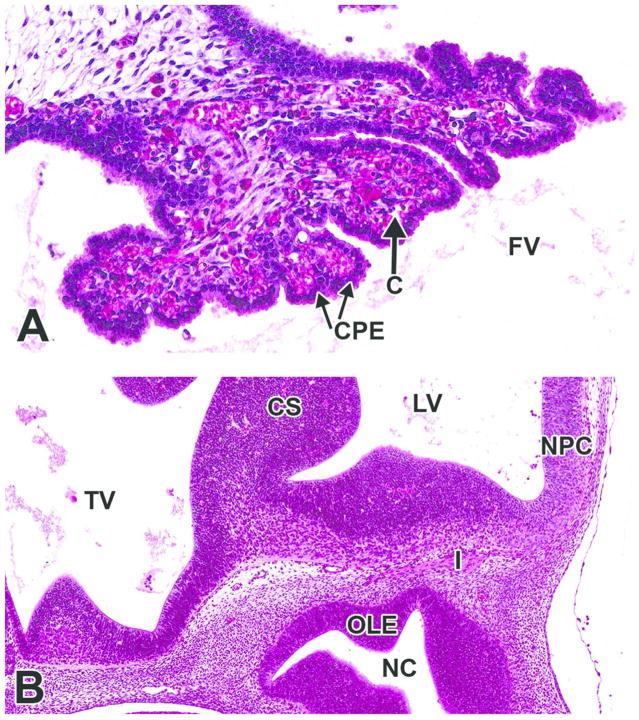 Figure 16