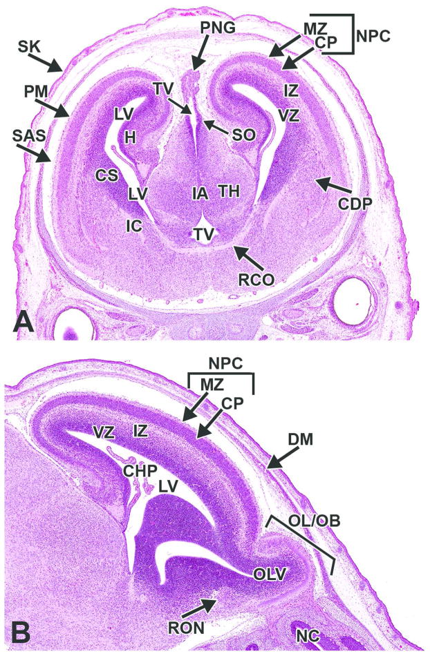 Figure 23