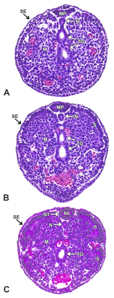 Figure 9