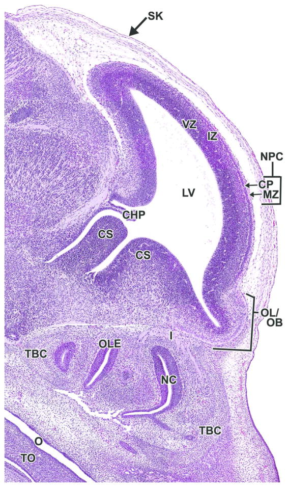 Figure 19