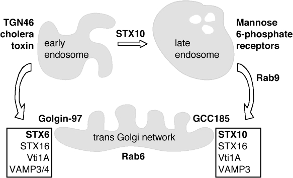 Figure 9.