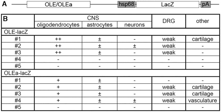 Fig 9