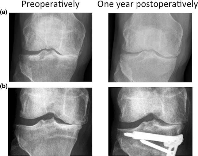 Fig. 6