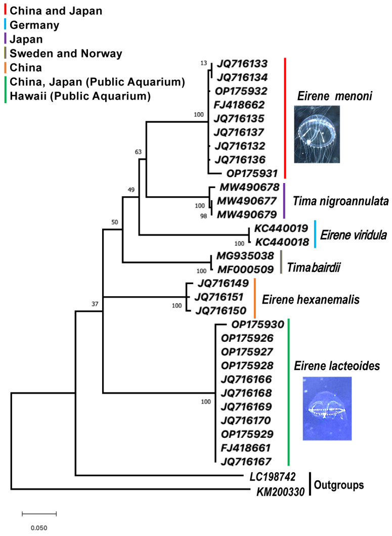 Fig. 6.